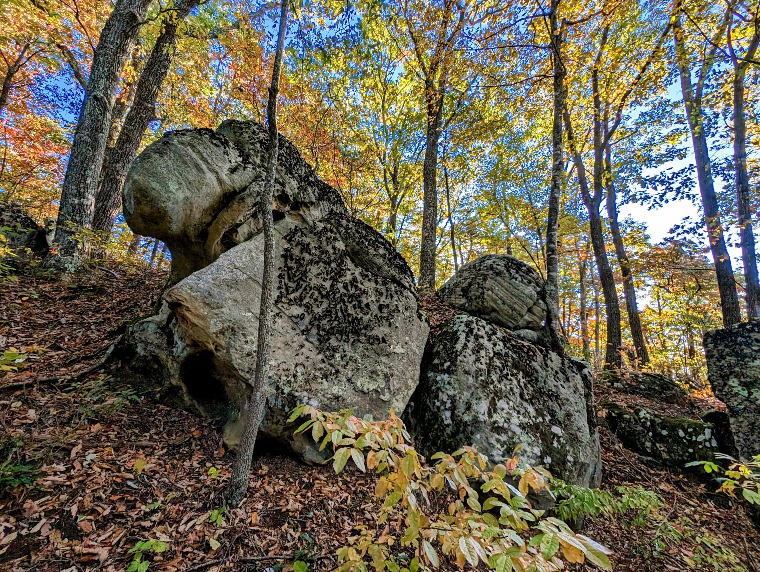 Pine Mountain — Kentucky Hiker Project